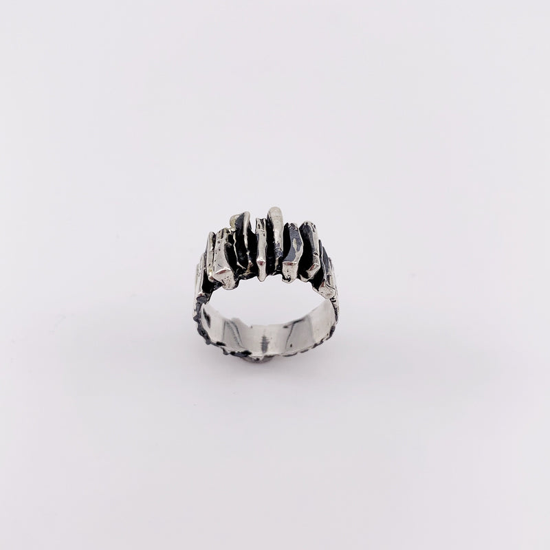 Bague en argent pour homme - Alejo