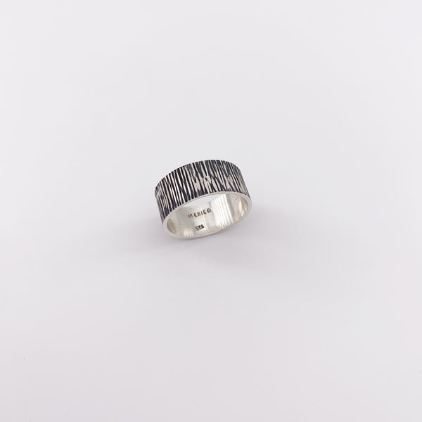 Bague en argent pour homme Leo